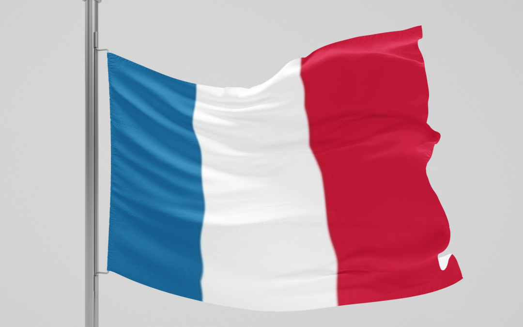 Significado e historia de la Bandera de Francia.